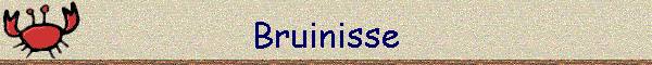 Bruinisse