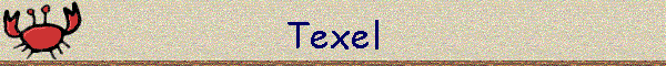 Texel